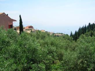 Spartillas view